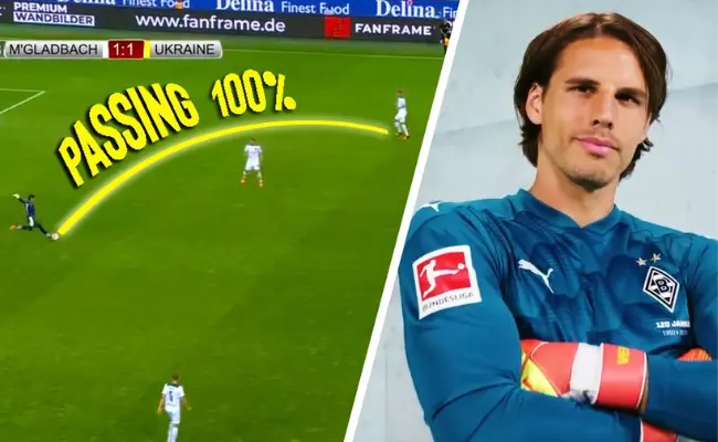 Yann Sommer Distribution and Passing