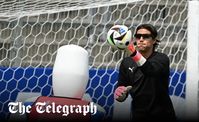 Professional Career Yann Sommer