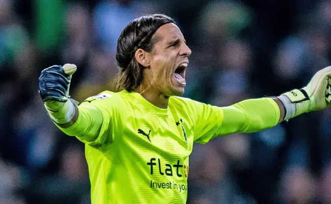 Transfer to Germany and Early Years Yann Sommer